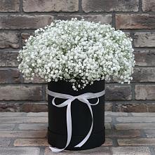 Цветочная композиция из Гипсофила в шляпной коробке #REPLACE_PRED# Липецке